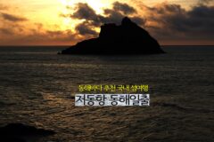 동해바다 추천 동해일출 국내 섬여행 울릉도 일출