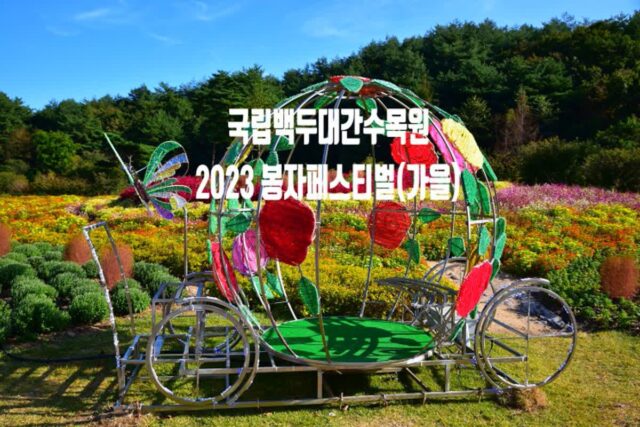 국립백두대간수목원 봉자페스티벌(가을) in 봉화 가볼만한 곳