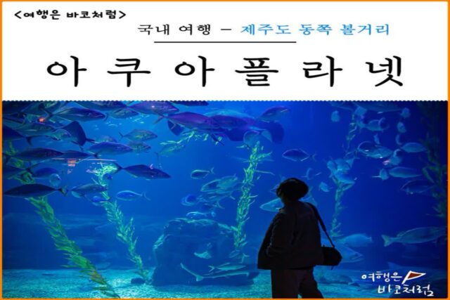 제주도 볼거리가 다양한 제주 동쪽 실내 관광지!