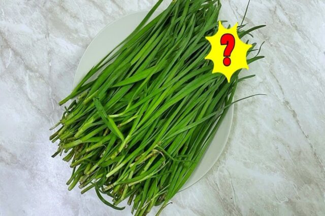 부추 ‘아린맛’ 살림고수는 이렇게 제거한다고!?