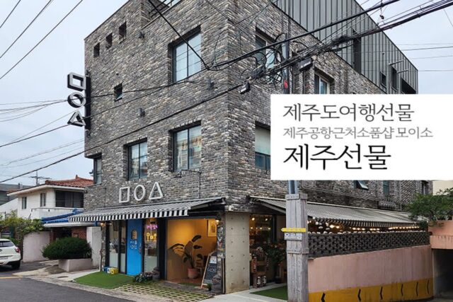 제주도 여행 선물 제주공항근처 소품샵 모이소, 제주 선물