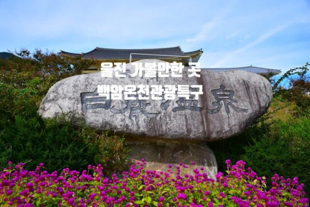 울진 가볼만한 곳 백암온천 관광특구&백암온천 효능