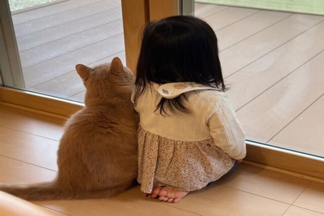 같은 곳을 보는 아이와 고양이..”사랑이란”