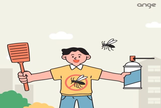 가을 불청객, 모기의 습격! 모기퇴치법 꿀팁