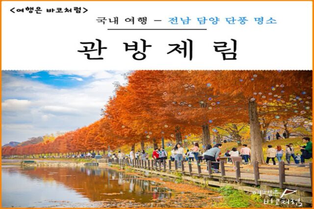 담양 관방제림 단풍 시기 11월 가을 단풍 명소 가볼만한곳 추천