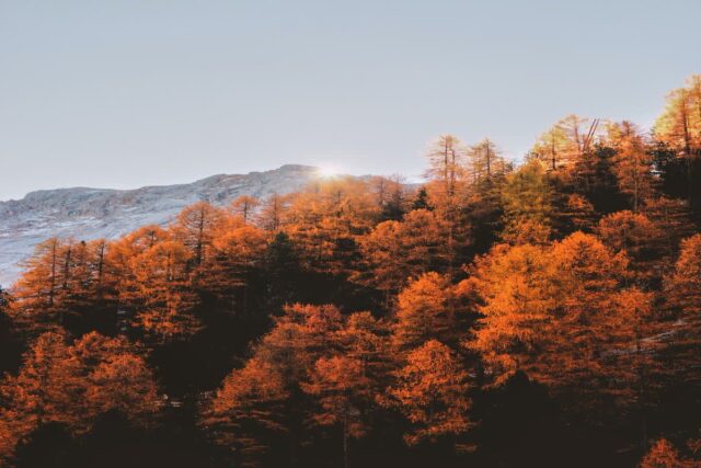 가을에 지쳤다면 여기! 힐링을 위한 국내 호캉스 명소 5