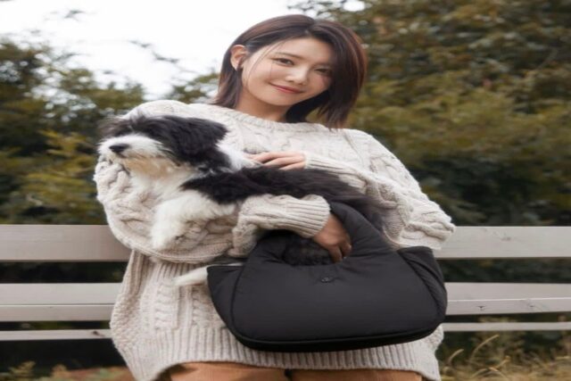 최수영 인스타 드파운드가방 백팩 토트백 가을 데일리백 모음