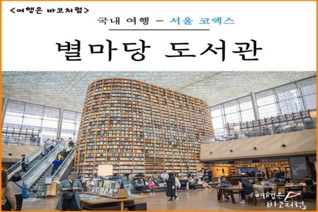 코엑스몰 놀거리 별마당 도서관 서울 볼거리 실내 데이트 장소