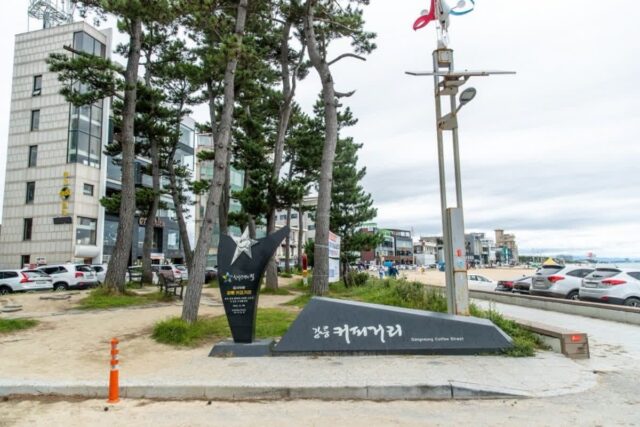 강릉 가볼만한곳 커피거리 강릉커피축제 안목해변 동해바다 만끽하기