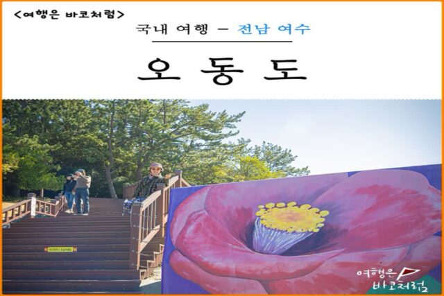 여수 오동도 가는법 자전거 도보 동백열차 케이블카 유람선 코스