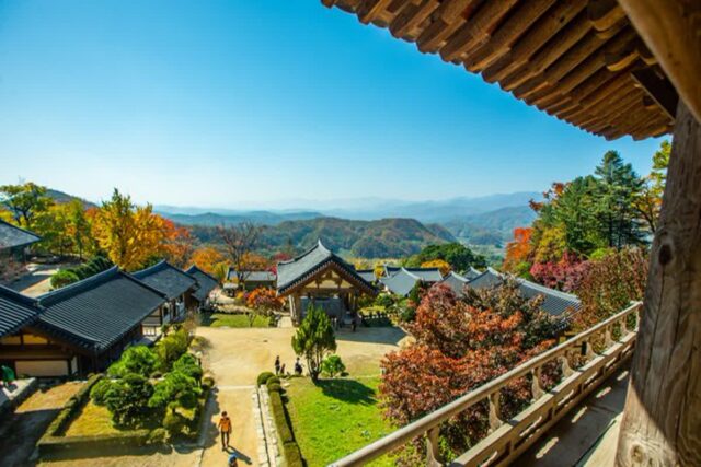 11월 가볼만한곳 경북 영주 부석사 가을단풍명소