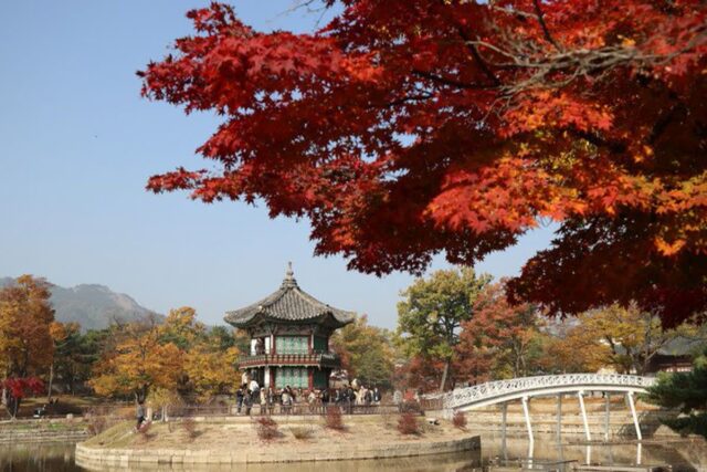 2023 단풍절정시기 서울 단풍명소 경복궁 향원정 단풍 나들이