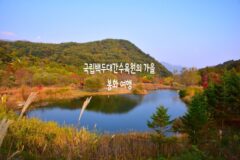가을 여행지 추천 국립백두대간수목원