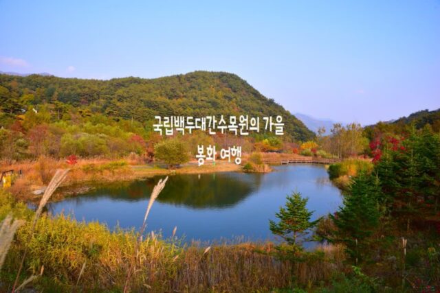 가을 여행지 추천 국립백두대간수목원