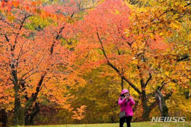 “단풍놀이 가요” 주말 날씨 ‘맑음’…교통 혼잡 예상