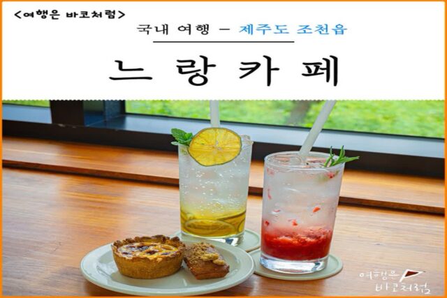 제주도 동쪽 조천 카페 느랑, 제주 디저트 맛있고 감귤 체험 가능한 카페