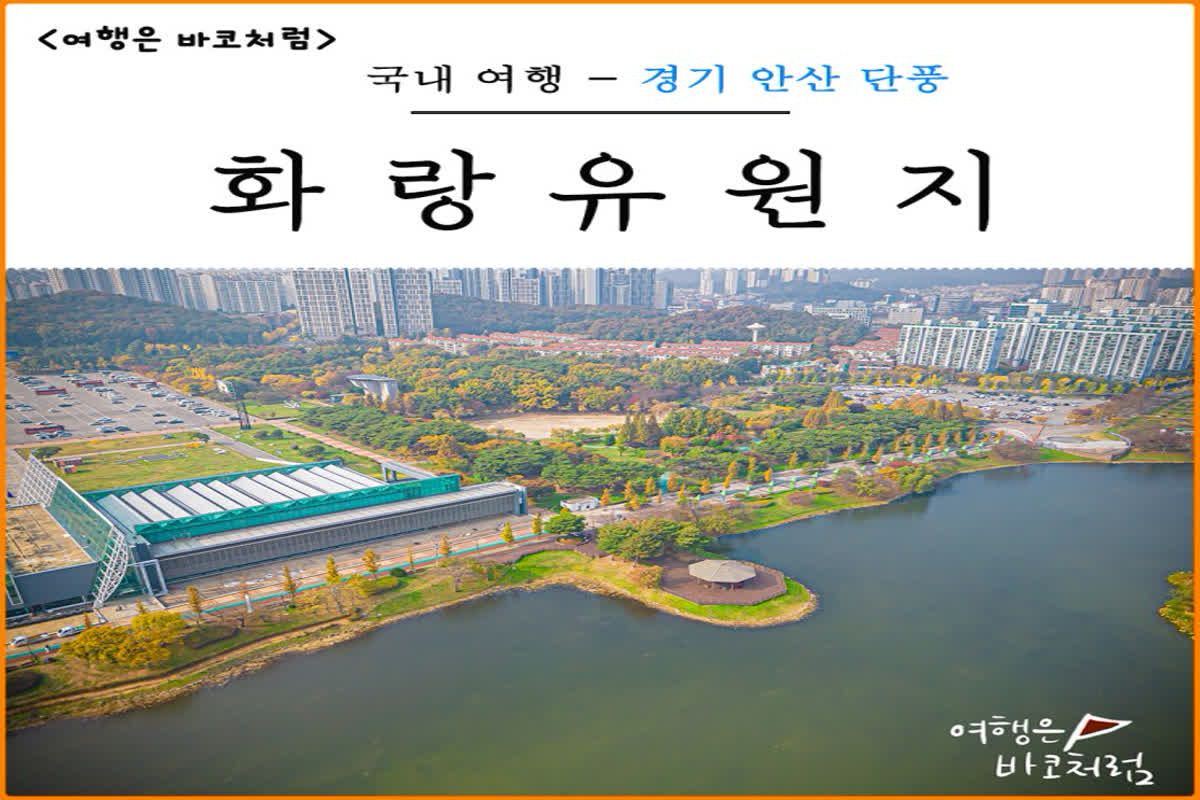 안산 단풍 구경 가볼만한곳 화랑유원지 공원 주차장 | 파블로 바코의 여행 정복기