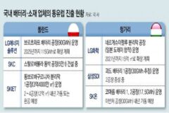 ‘독일車 후방기지’ 동유럽에… 韓 배터리-소재기업 10곳 몰려