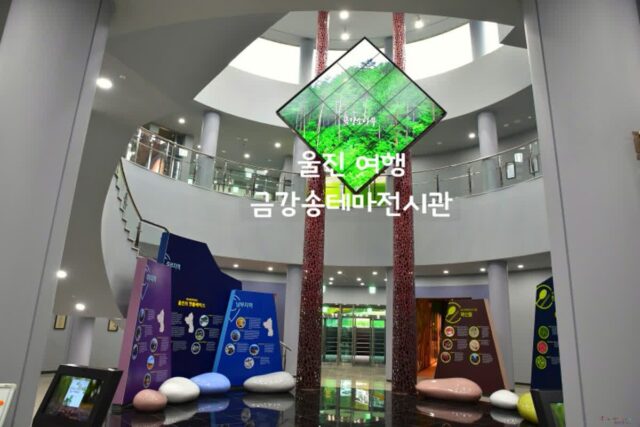 경북 울진 금강송테마전시관, 경상도 여행지 추천