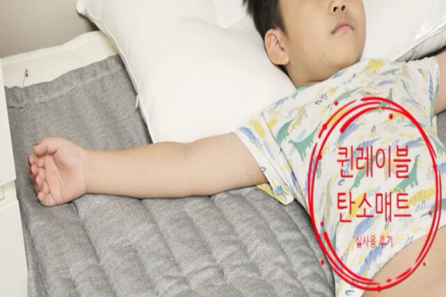 탄소카본매트 추천, 퀸레이블 탄소매트