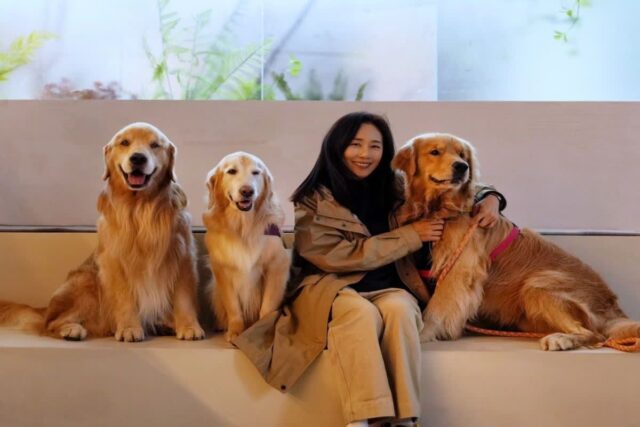 배우 문정희, ‘인절미’ 리트리버들 사이에서 찐행복한 웃음 활짝