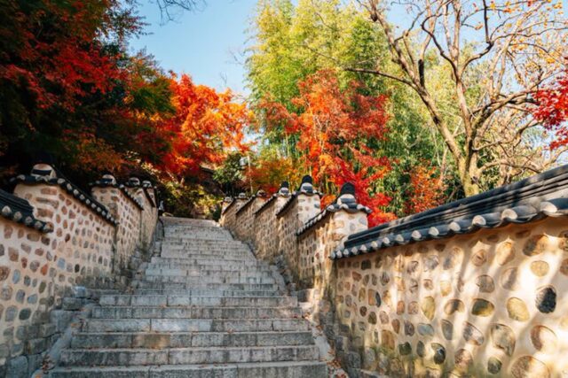 부산 단풍명소 범어사 가는법 단풍 가을 산책 나들이