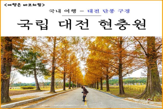 대전 드라이브 코스 가볼만한곳 국립 현충원 둘레길 산책로 가을 단풍 명소 추천