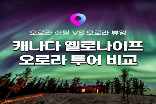 [캐나다 옐로나이프 여행] 옐로나이프 오로라 투어 비교! 옐로나이프 오로라 헌팅 vs 오로라 뷰잉