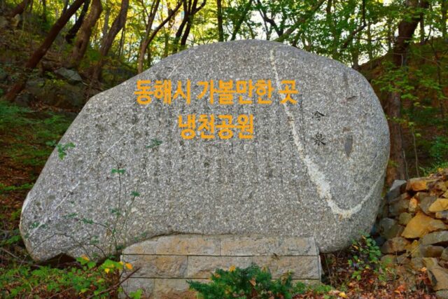 동해시 가볼만한 곳 찬물내기 복수초 자생지 냉천공원