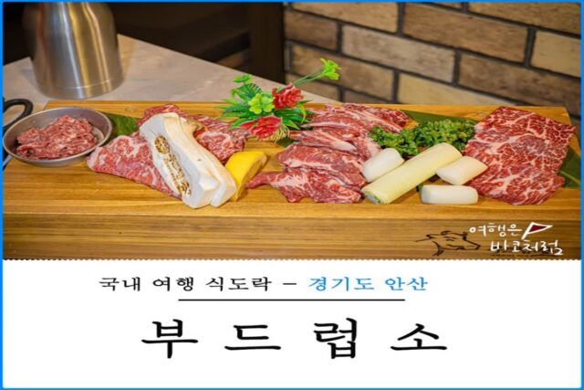 안산 고잔동 맛집 부드럽소 신도시 소고기 점심 식사 회식 추천