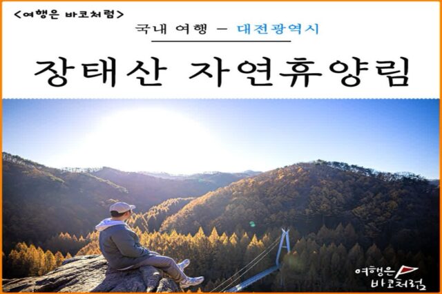 대전 가볼만한곳 장태산 자연휴양림 가을 단풍 명소 등산 산책로 드라이브 코스 추천
