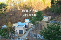 경북 웰니스 관광지 금강송에코리움 in 울진
