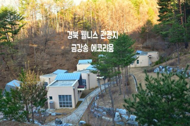경북 웰니스 관광지 금강송에코리움 in 울진