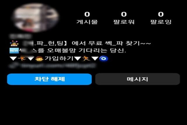 인스타그램, 야한 계정·사칭 계정 활개…”이용자 적극적인 신고 부탁”