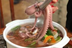 원기회복의 대명사, 힘이 불끈 솟는 낙지 맛집 BEST5
