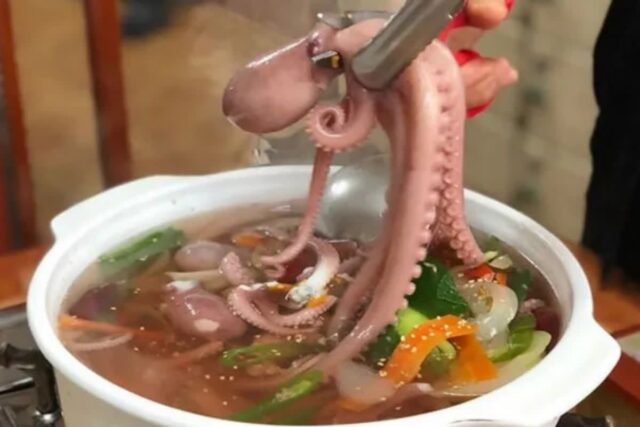 원기회복의 대명사, 힘이 불끈 솟는 낙지 맛집 BEST5