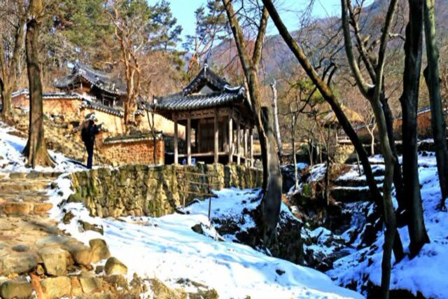 국내 겨울여행가기 좋은 전남 담양여행 소쇄원, 죽녹원