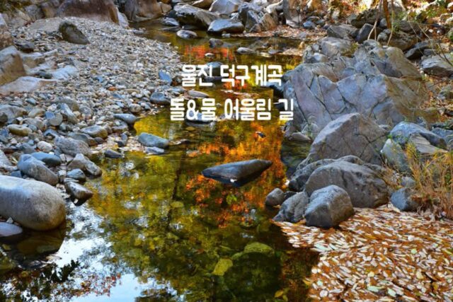 울진 가볼만한 곳 덕구계곡 돌&물 어울림 길