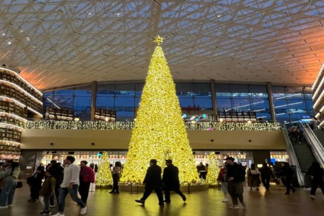 코엑스데이트 가볼만한곳 별마당 도서관 트리와 미디어아트