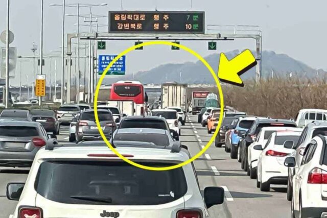 “7.7배 증가” 단 두 달 만 9개 월치 추월, ‘이 차’들 조심해달라 난리