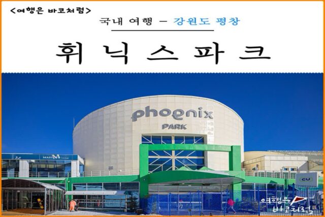 평창 휘닉스 스노우 파크 스키장 리프트권 케이블카 주변 숙소 호텔 리조트 완비