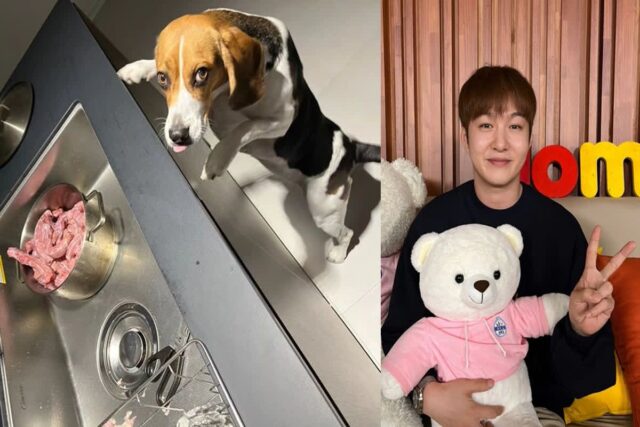비투비 이창섭, 반려견 ‘구리’ 두 번째 생일 축하…”생일 축하해 이구리♥”