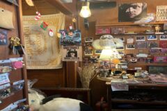 경주놀거리 여행명소 황리단길 볼거리 소품샵 정리