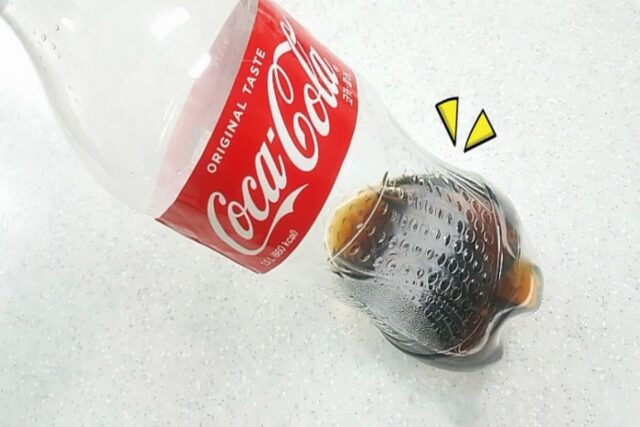 먹고 남은 ‘콜라’ 그냥 버리면 땅치고 후회한다고!?