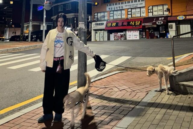 김용지, 반려견 ‘루♥라이’와 즐긴 밤산책…”멍멍이들와 함께하는 겨울밤”