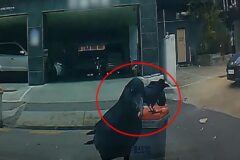“‘음식물 쓰레기통’ 옆에 주차했는데 정말 상상도 못 한 광경이 녹화됐습니다”