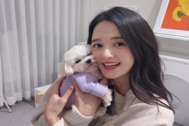 남보라, 반려견 ‘머털이’와 사랑스러운 투 샷…”찌부 머털”