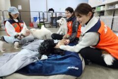 제주항공 승무원, 유기견 보호소 찾아 봉사활동