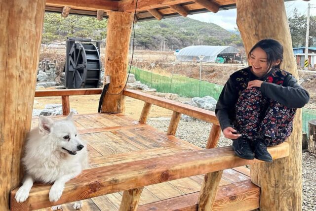 소녀시대 효연, 꽃무늬 패션으로 강아지와 찰칵!…”띠숩죠오”