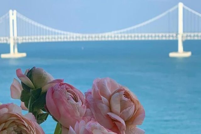 광안리가 내 집 앞마당?! | 오션뷰 17평 오피스텔